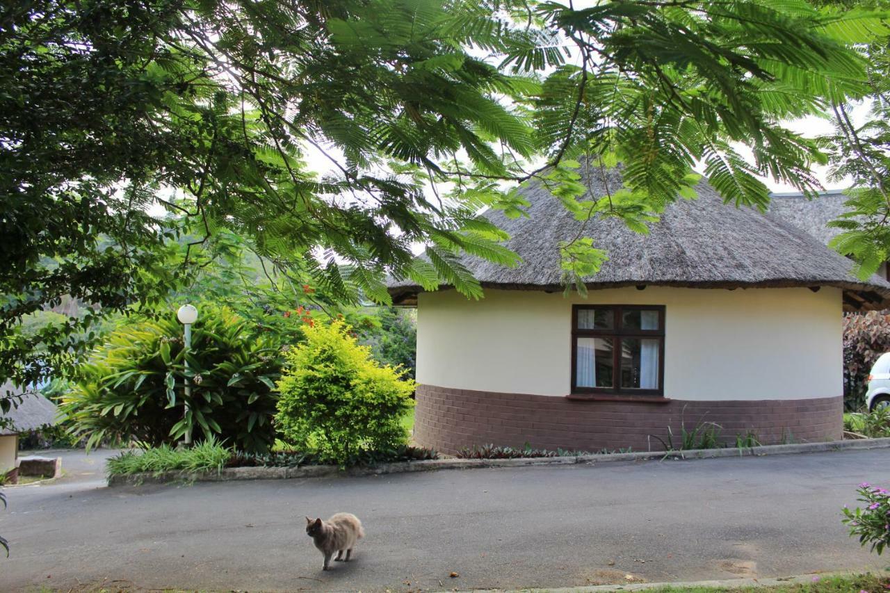 Appartement The Little Round House à Umtwalumi Extérieur photo